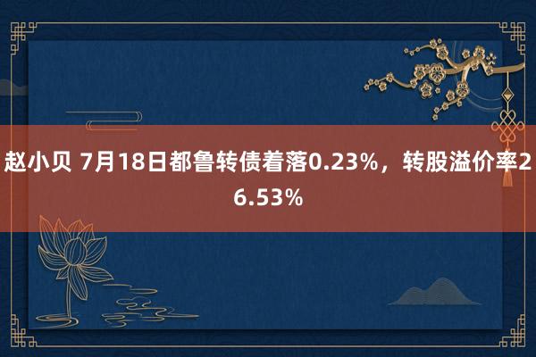 赵小贝 7月18日都鲁转债着落0.23%，转股溢价率26.53%