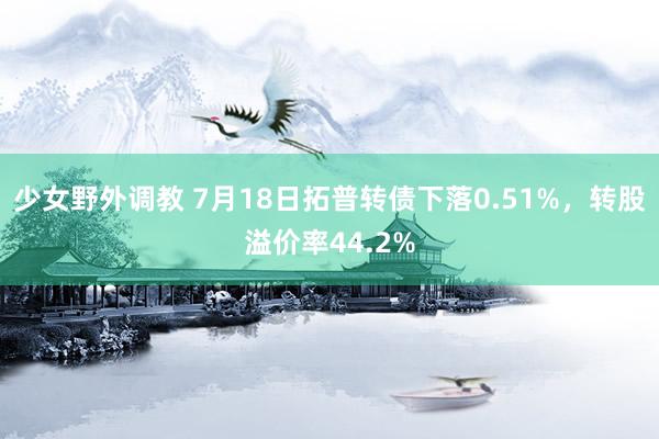 少女野外调教 7月18日拓普转债下落0.51%，转股溢价率44.2%