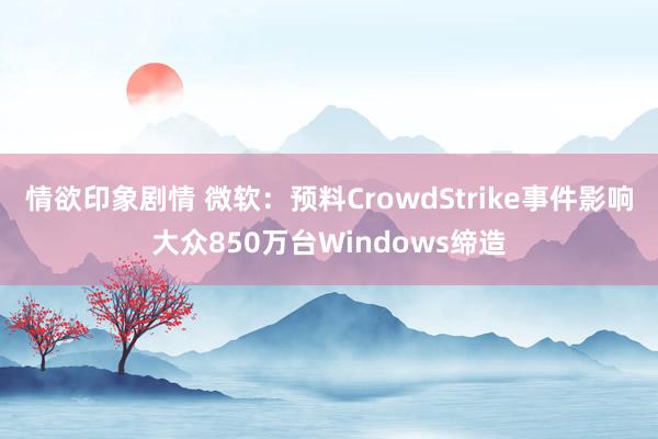 情欲印象剧情 微软：预料CrowdStrike事件影响大众850万台Windows缔造