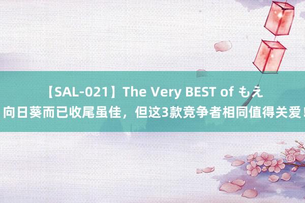 【SAL-021】The Very BEST of もえ 向日葵而已收尾虽佳，但这3款竞争者相同值得关爱！