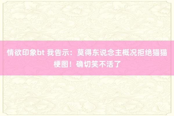 情欲印象bt 我告示：莫得东说念主概况拒绝猫猫梗图！确切笑不活了