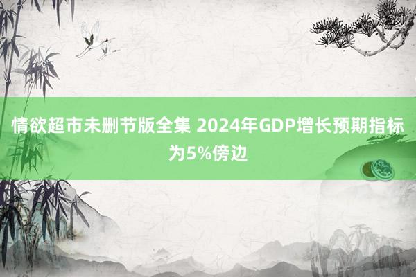 情欲超市未删节版全集 2024年GDP增长预期指标为5%傍边