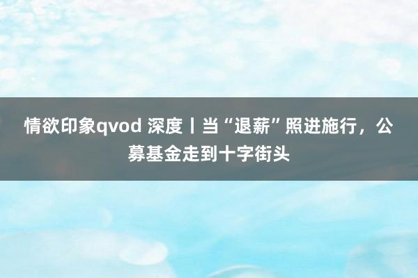 情欲印象qvod 深度丨当“退薪”照进施行，公募基金走到十字街头