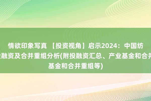 情欲印象写真 【投资视角】启示2024：中国纺织行业投融资及合并重组分析(附投融资汇总、产业基金和合并重组等)