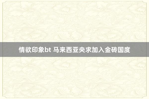 情欲印象bt 马来西亚央求加入金砖国度