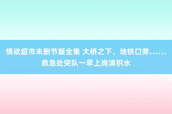 情欲超市未删节版全集 大桥之下、地铁口旁……救急处突队一早上岗清积水