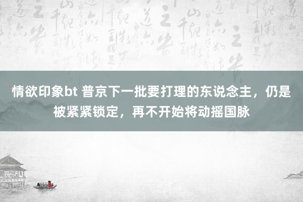 情欲印象bt 普京下一批要打理的东说念主，仍是被紧紧锁定，再不开始将动摇国脉