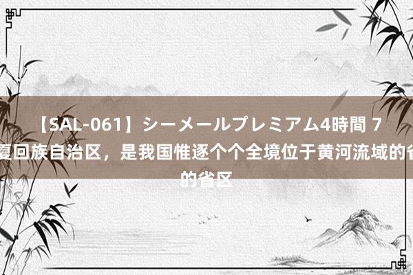 【SAL-061】シーメールプレミアム4時間 7 宁夏回族自治区，是我国惟逐个个全境位于黄河流域的省区