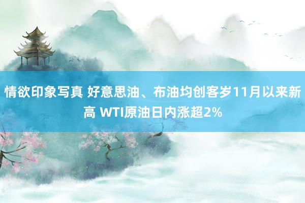 情欲印象写真 好意思油、布油均创客岁11月以来新高 WTI原油日内涨超2%