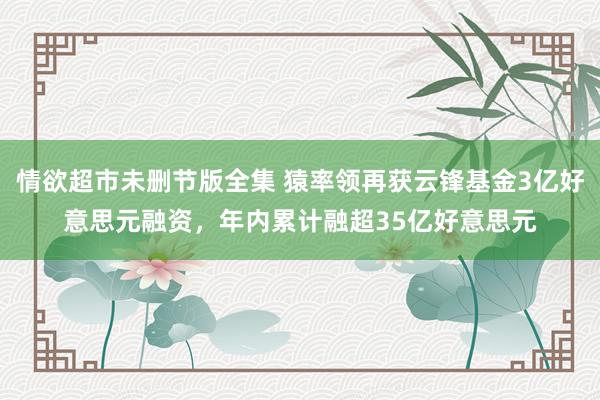 情欲超市未删节版全集 猿率领再获云锋基金3亿好意思元融资，年内累计融超35亿好意思元