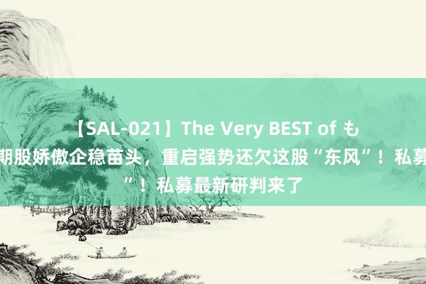 【SAL-021】The Very BEST of もえ “哑火”周期股娇傲企稳苗头，重启强势还欠这股“东风”！私募最新研判来了