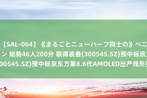 【SAL-064】《まるごとニューハーフ同士の》ペニクリフェラチオシーン 総勢46人200分 联得装备(300545.SZ)预中标京东方第8.6代AMOLED出产线形势