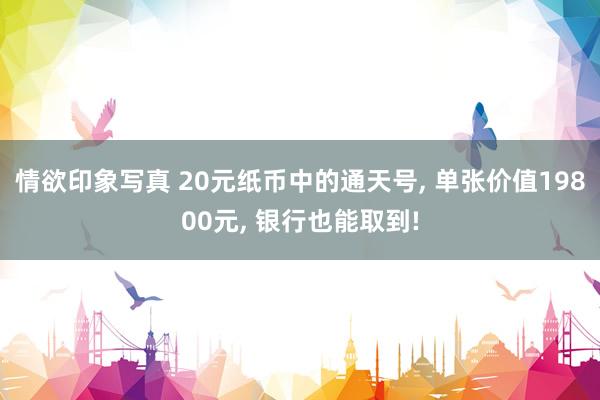 情欲印象写真 20元纸币中的通天号， 单张价值19800元， 银行也能取到!