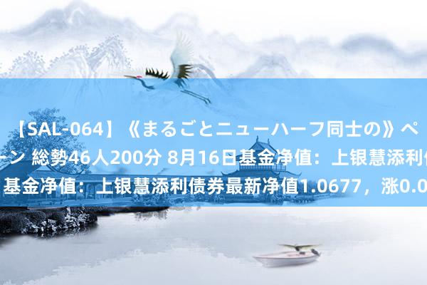 【SAL-064】《まるごとニューハーフ同士の》ペニクリフェラチオシーン 総勢46人200分 8月16日基金净值：上银慧添利债券最新净值1.0677，涨0.03%