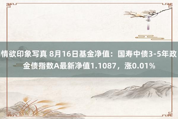 情欲印象写真 8月16日基金净值：国寿中债3-5年政金债指数A最新净值1.1087，涨0.01%