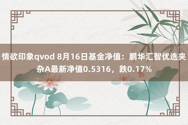 情欲印象qvod 8月16日基金净值：鹏华汇智优选夹杂A最新净值0.5316，跌0.17%