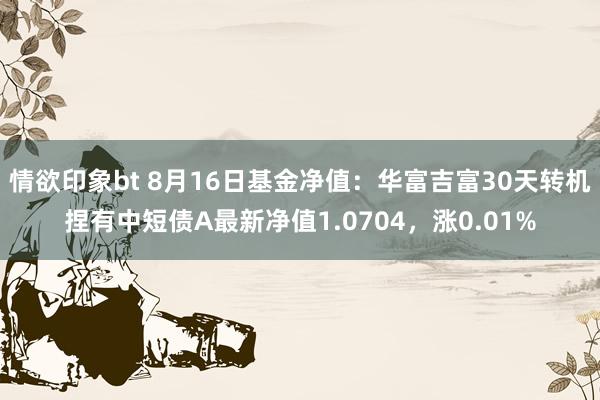 情欲印象bt 8月16日基金净值：华富吉富30天转机捏有中短债A最新净值1.0704，涨0.01%