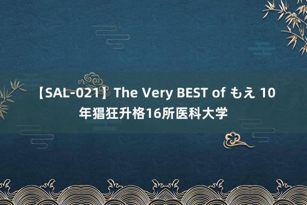 【SAL-021】The Very BEST of もえ 10年猖狂升格16所医科大学