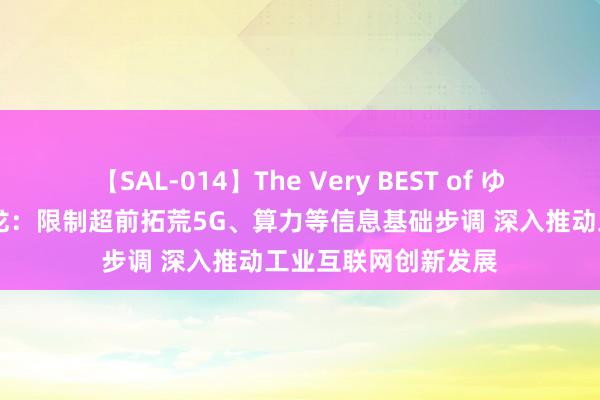 【SAL-014】The Very BEST of ゆか 工信部部长金壮龙：限制超前拓荒5G、算力等信息基础步调 深入推动工业互联网创新发展