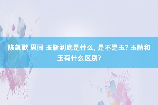 陈凯歌 男同 玉髓到底是什么， 是不是玉? 玉髓和玉有什么区别?