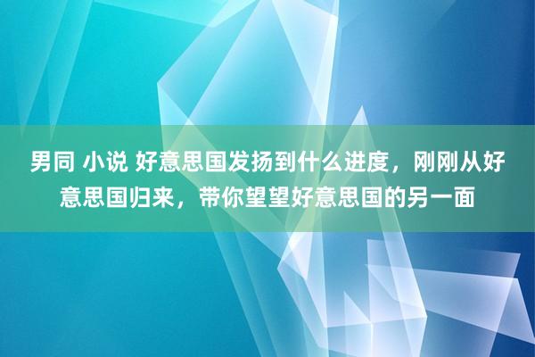 男同 小说 好意思国发扬到什么进度，刚刚从好意思国归来，带你望望好意思国的另一面