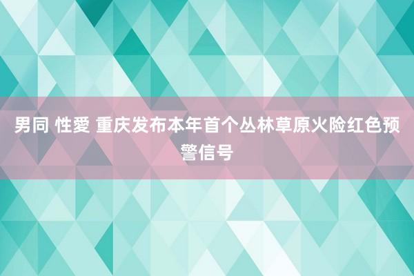 男同 性愛 重庆发布本年首个丛林草原火险红色预警信号