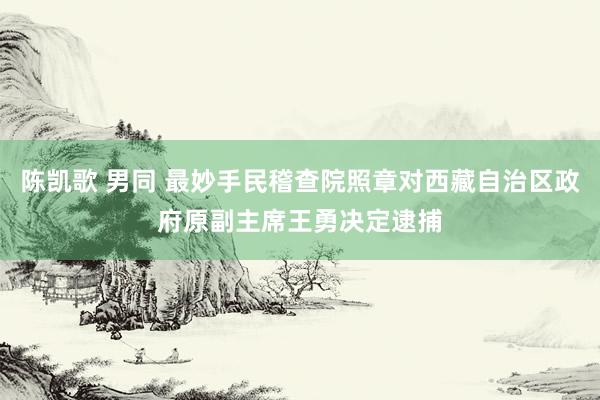 陈凯歌 男同 最妙手民稽查院照章对西藏自治区政府原副主席王勇决定逮捕