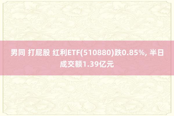 男同 打屁股 红利ETF(510880)跌0.85%， 半日成交额1.39亿元