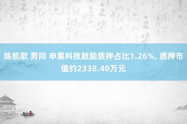 陈凯歌 男同 申昊科技鼓励质押占比1.26%， 质押市值约2338.40万元