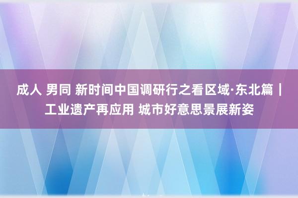 成人 男同 新时间中国调研行之看区域·东北篇｜工业遗产再应用 城市好意思景展新姿