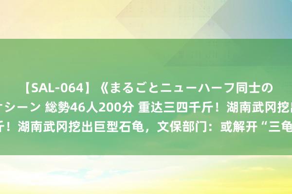 【SAL-064】《まるごとニューハーフ同士の》ペニクリフェラチオシーン 総勢46人200分 重达三四千斤！湖南武冈挖出巨型石龟，文保部门：或解开“三龟守城门”谜题