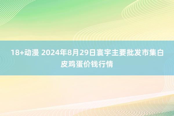 18+动漫 2024年8月29日寰宇主要批发市集白皮鸡蛋价钱行情