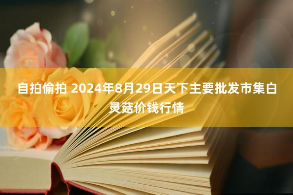 自拍偷拍 2024年8月29日天下主要批发市集白灵菇价钱行情