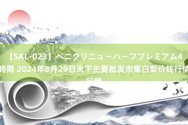 【SAL-023】ペニクリニューハーフプレミアム4時間 2024年8月29日天下主要批发市集白梨价钱行情