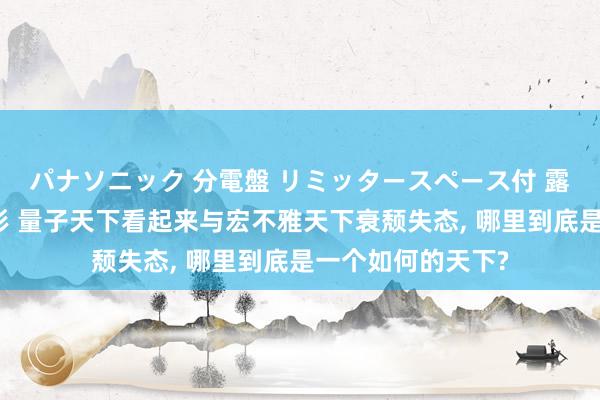 パナソニック 分電盤 リミッタースペース付 露出・半埋込両用形 量子天下看起来与宏不雅天下衰颓失态， 哪里到底是一个如何的天下?