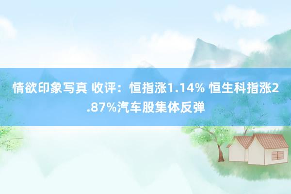 情欲印象写真 收评：恒指涨1.14% 恒生科指涨2.87%汽车股集体反弹