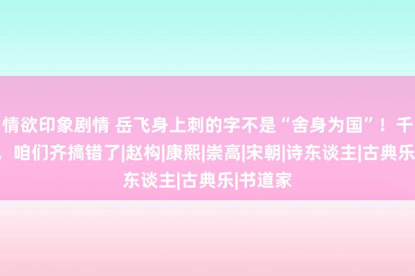 情欲印象剧情 岳飞身上刺的字不是“舍身为国”！千百年来，咱们齐搞错了|赵构|康熙|崇高|宋朝|诗东谈主|古典乐|书道家