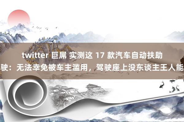 twitter 巨屌 实测这 17 款汽车自动扶助驾驶：无法幸免被车主滥用，驾驶座上没东谈主王人能跑