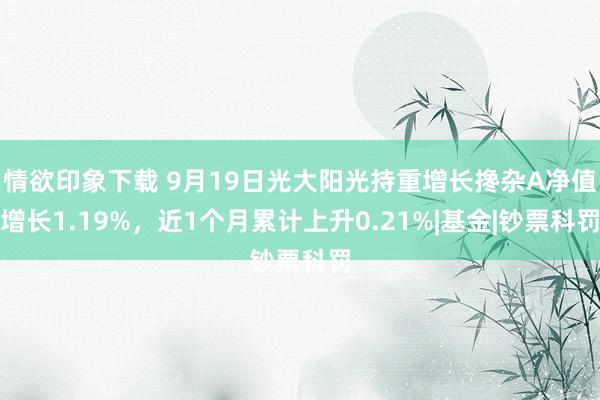 情欲印象下载 9月19日光大阳光持重增长搀杂A净值增长1.19%，近1个月累计上升0.21%|基金|钞票科罚