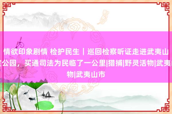 情欲印象剧情 检护民生｜巡回检察听证走进武夷山国度公园，买通司法为民临了一公里|猎捕|野灵活物|武夷山市