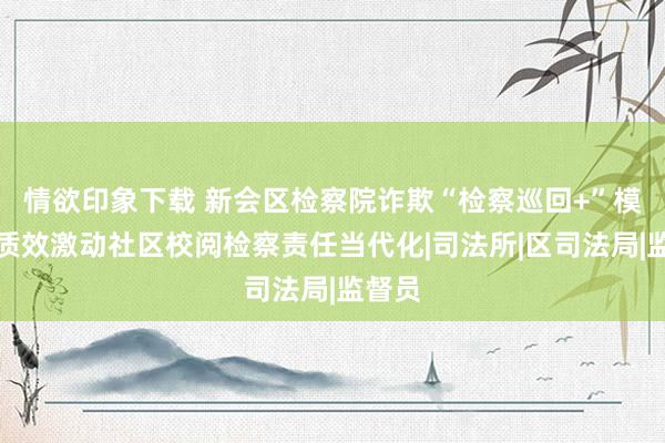 情欲印象下载 新会区检察院诈欺“检察巡回+”模式高质效激动社区校阅检察责任当代化|司法所|区司法局|监督员