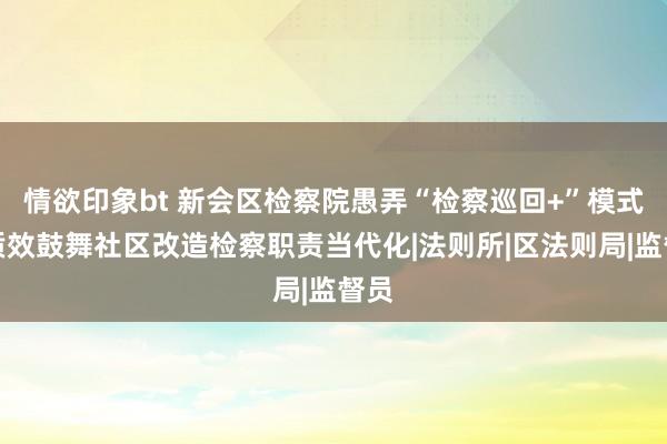 情欲印象bt 新会区检察院愚弄“检察巡回+”模式高质效鼓舞社区改造检察职责当代化|法则所|区法则局|监督员