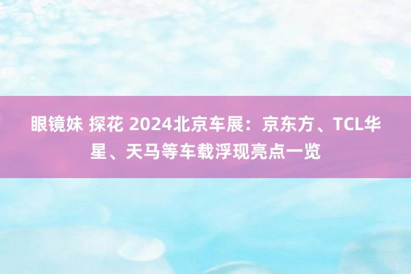 眼镜妹 探花 2024北京车展：京东方、TCL华星、天马等车载浮现亮点一览