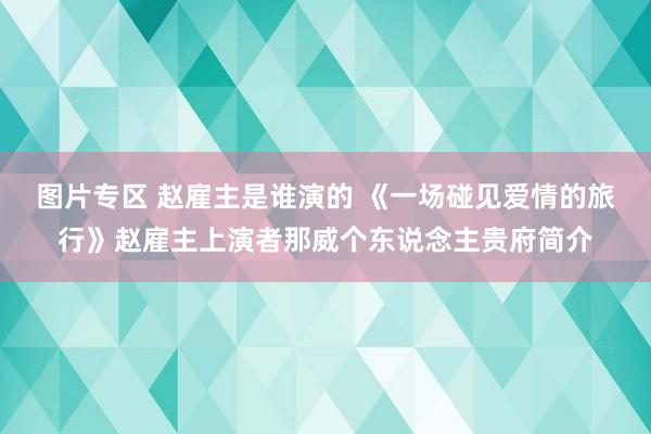 图片专区 赵雇主是谁演的 《一场碰见爱情的旅行》赵雇主上演者那威个东说念主贵府简介