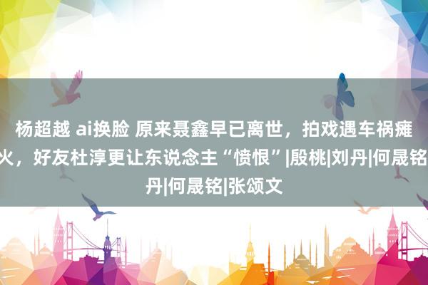 杨超越 ai换脸 原来聂鑫早已离世，拍戏遇车祸瘫痪身一火，好友杜淳更让东说念主“愤恨”|殷桃|刘丹|何晟铭|张颂文