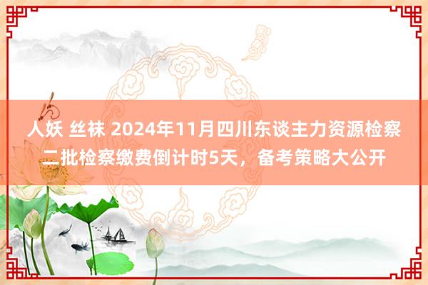 人妖 丝袜 2024年11月四川东谈主力资源检察二批检察缴费倒计时5天，备考策略大公开