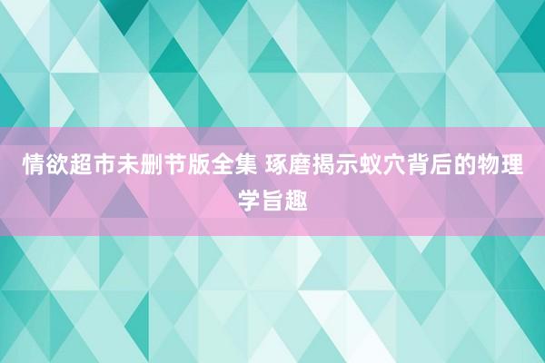 情欲超市未删节版全集 琢磨揭示蚁穴背后的物理学旨趣