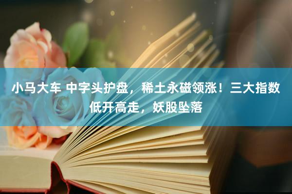 小马大车 中字头护盘，稀土永磁领涨！三大指数低开高走，妖股坠落