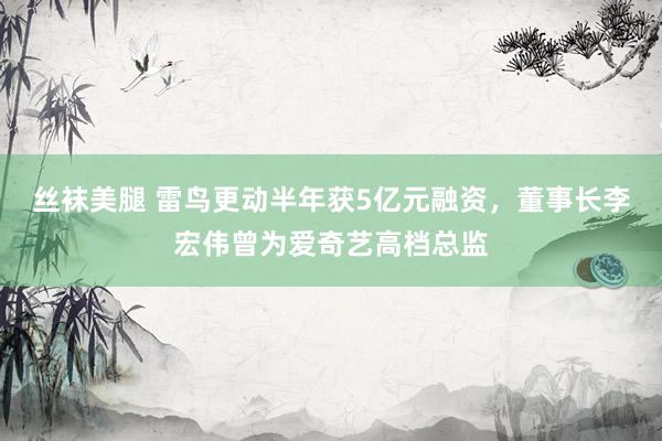 丝袜美腿 雷鸟更动半年获5亿元融资，董事长李宏伟曾为爱奇艺高档总监